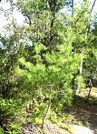 e0125014_1428486.jpg
