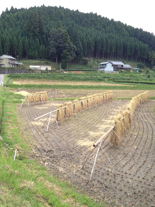 紅茶旅 (新城~作手~新城 1)_b0220318_5552095.jpg