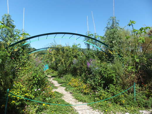 e0135518_15273467.jpg