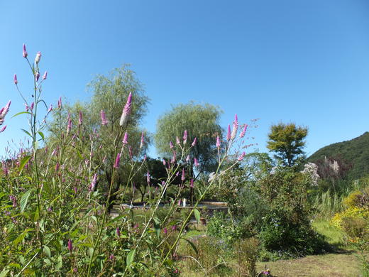 e0135518_15281555.jpg