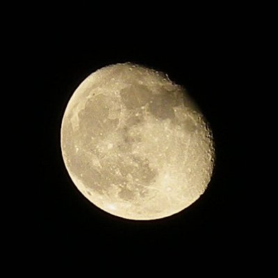 a0260019_043398.jpg