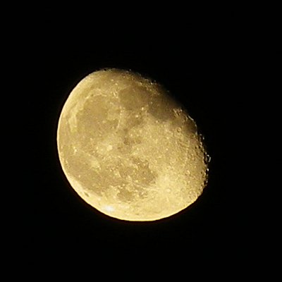 a0260019_22363074.jpg