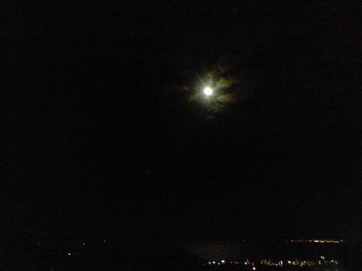 c0097620_2159361.jpg