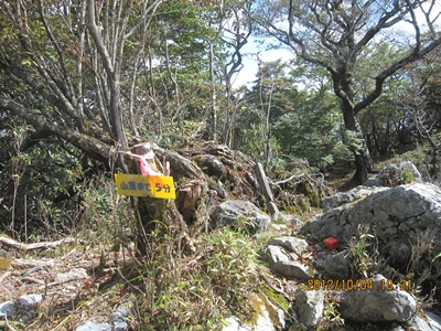 f0193521_20131156.jpg