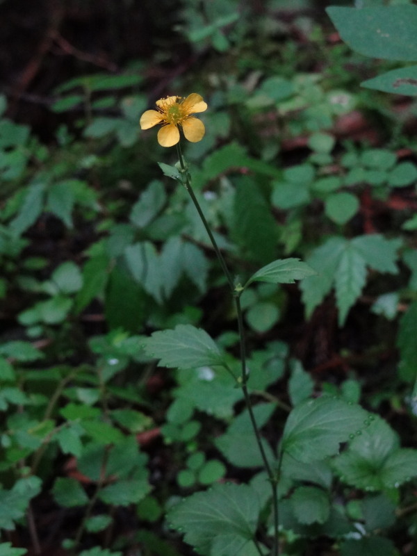 c0085622_217344.jpg