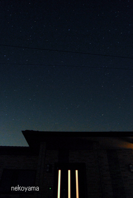 c0162823_183761.jpg