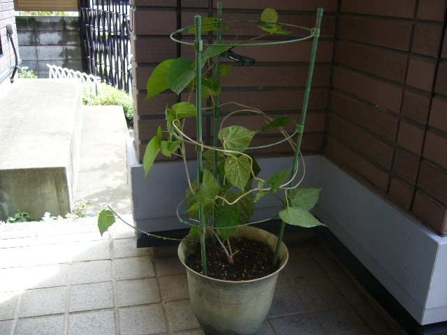 d0000324_10544032.jpg