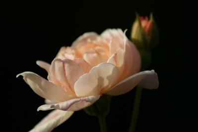 f0170524_8315775.jpg