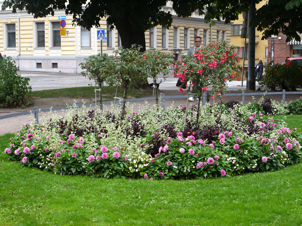 d0161525_14261928.jpg