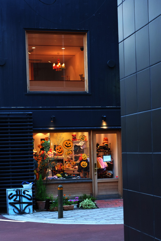 c0211429_23491035.jpg