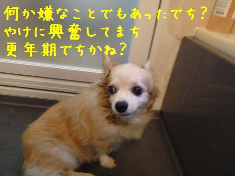 b0138430_15444962.jpg