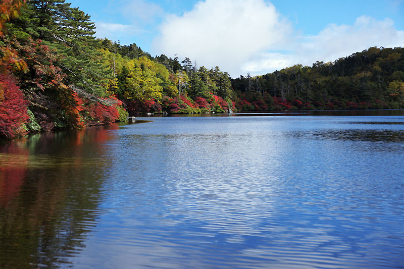 八千穂高原の紅葉の時期がやってきました_b0179231_2218285.jpg