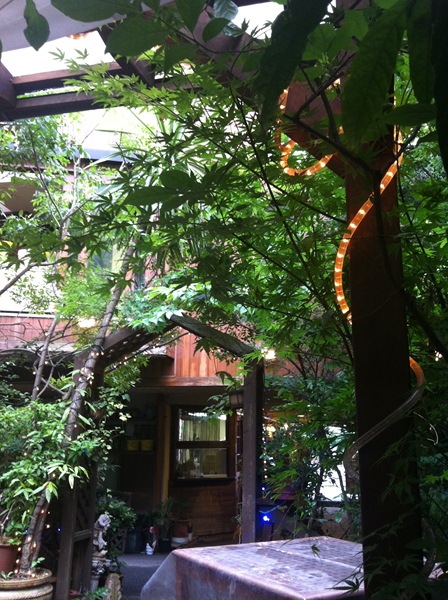 d0062132_35392.jpg