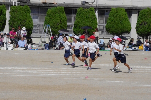 c0113733_3184741.jpg