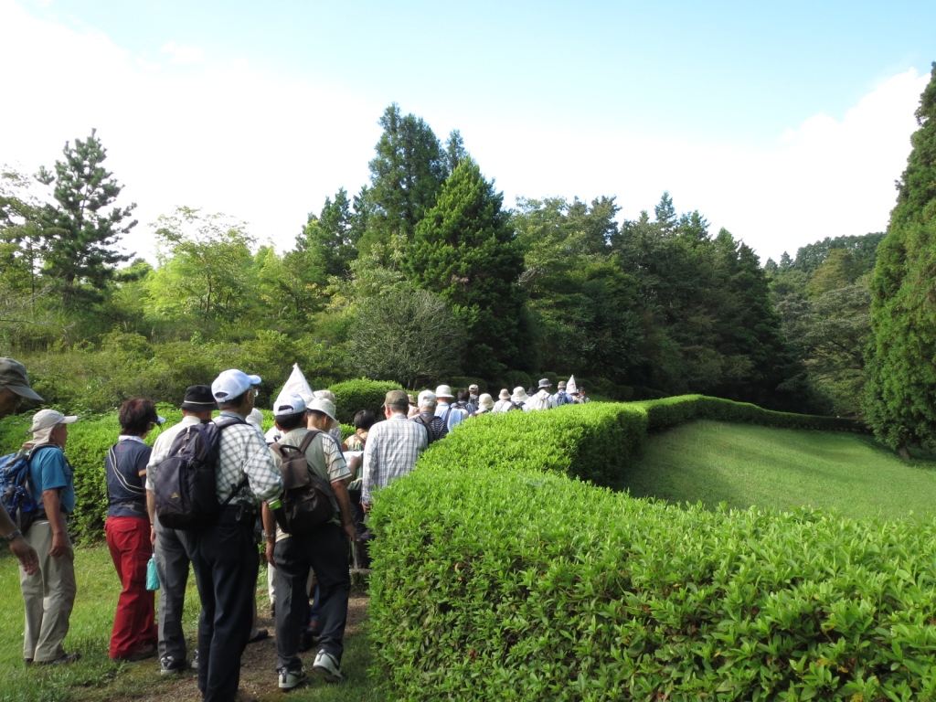 歴史（川崎学）　戦国時代の城郭跡（河村城、山中城、小田原城の見学）_e0211937_10115020.jpg