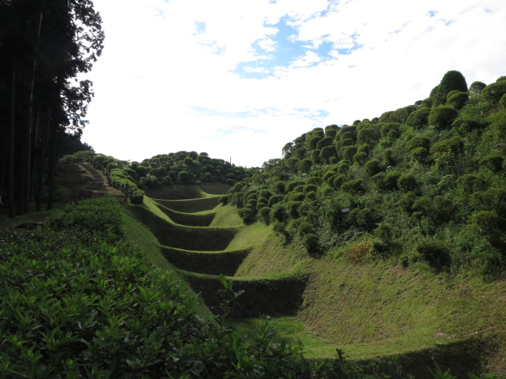 歴史（川崎学）　戦国時代の城郭跡（河村城、山中城、小田原城の見学）_e0211937_1012681.jpg