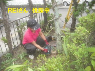 本日13.5日目_f0031037_21264574.jpg