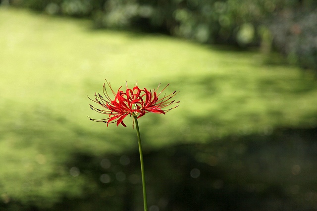 a0242438_19282912.jpg