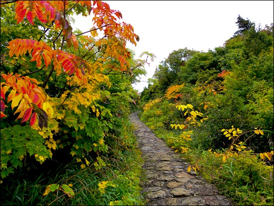 須川高原~栗駒山登山道入口~_c0176838_838391.jpg