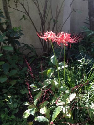 c0209240_1403849.jpg