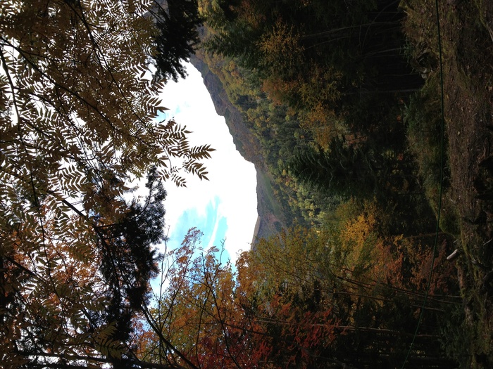 c0182843_2313353.jpg