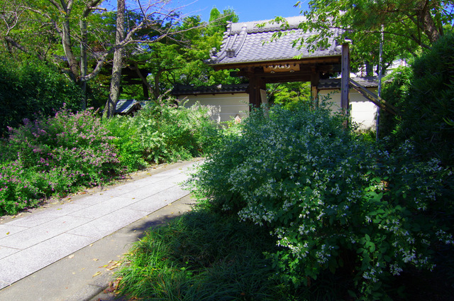 d0186245_1521444.jpg