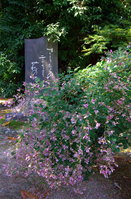 d0186245_15252822.jpg