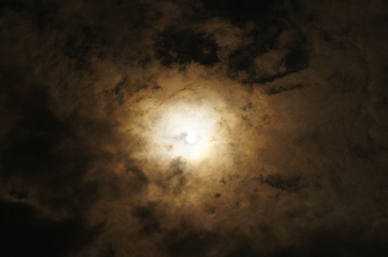 b0242248_1031891.jpg