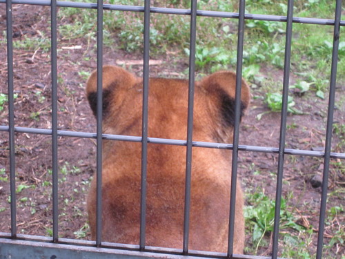 【デジカメで見る】北海道2日目の旅　第二弾♪　旭山動物園 の巻_f0032049_2215259.jpg