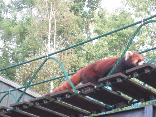 【デジカメで見る】北海道2日目の旅　第二弾♪　旭山動物園 の巻_f0032049_2273896.jpg