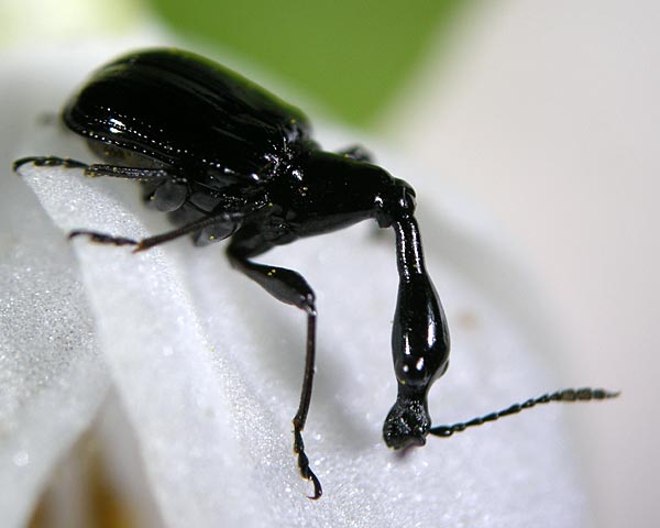 e0035757_184568.jpg