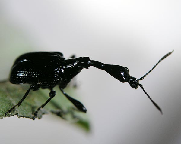 e0035757_1851085.jpg