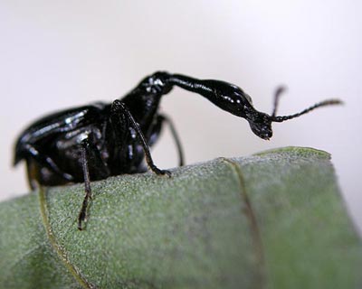 e0035757_1861982.jpg