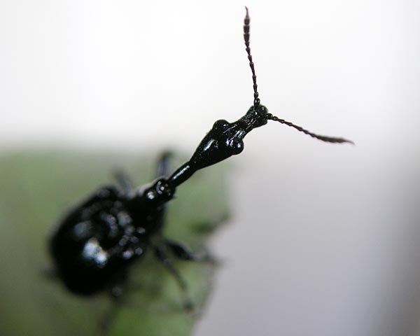 e0035757_1863342.jpg