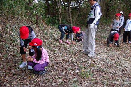 鳴滝小学校2年生遠足サポート in せんなん里海公園うみべの森_c0108460_17409.jpg