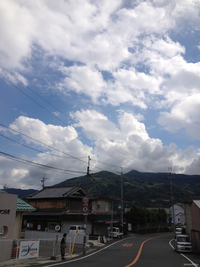 a0135162_862546.jpg