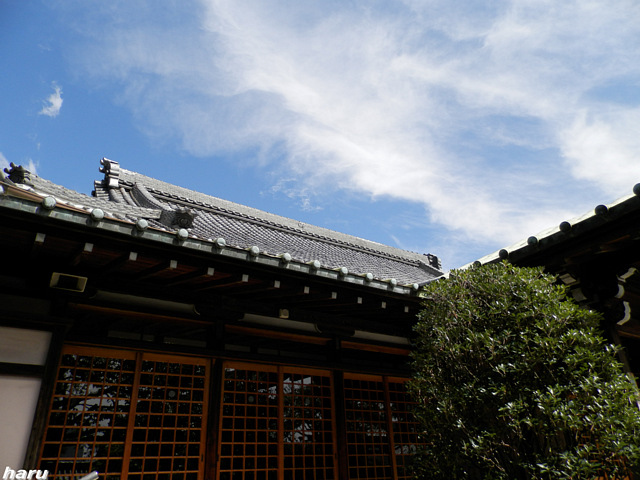 a0275965_11415033.jpg