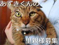 b0271465_2124016.gif