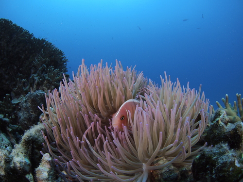 b0138768_19361352.jpg