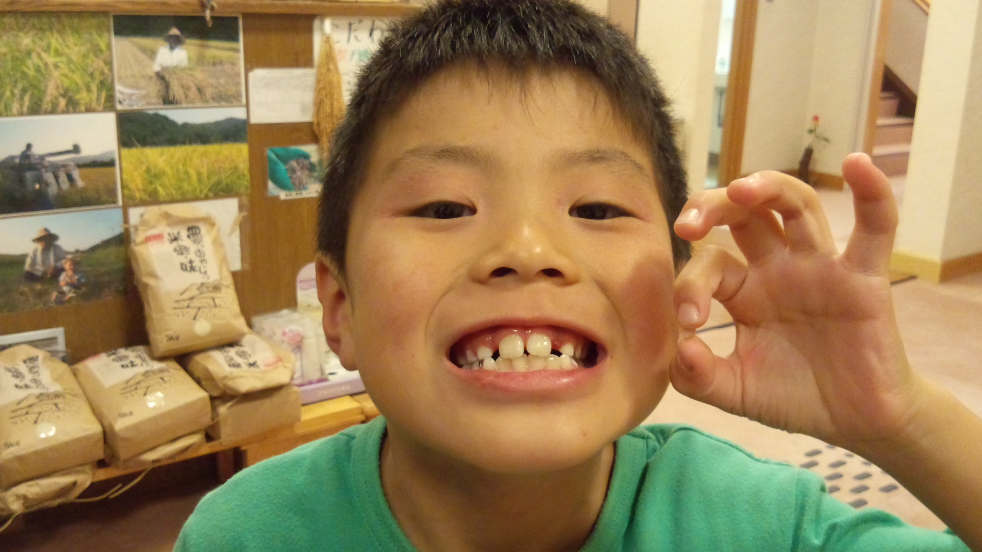 元気な友善3兄妹です!_a0200771_2043349.jpg