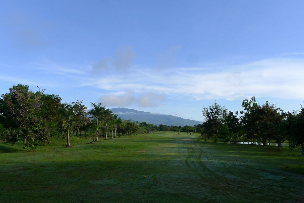 f0178278_17422797.jpg