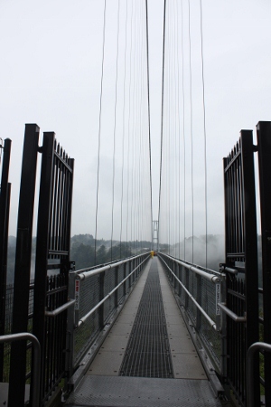 b0207284_731331.jpg