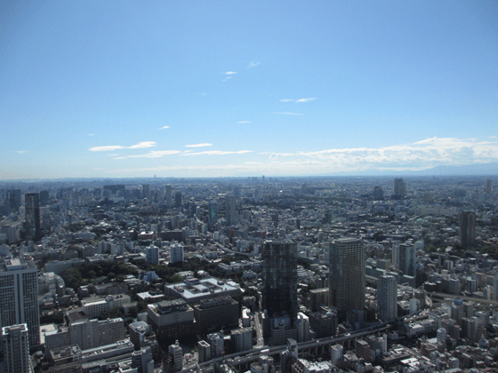 f0110488_22353286.gif