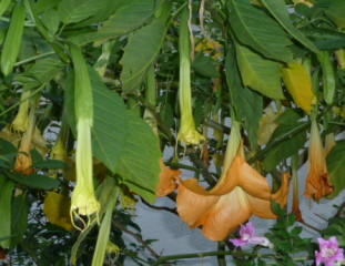 f0166694_2162644.jpg