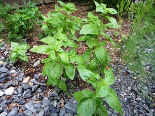 e0143298_20431675.jpg