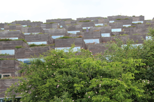 e0054299_1451622.jpg