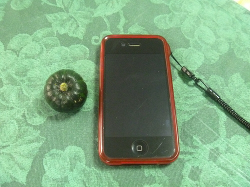 e0203499_9472676.jpg