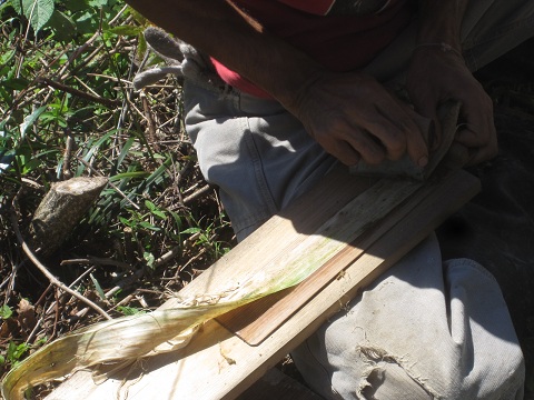 c0158301_9335534.jpg