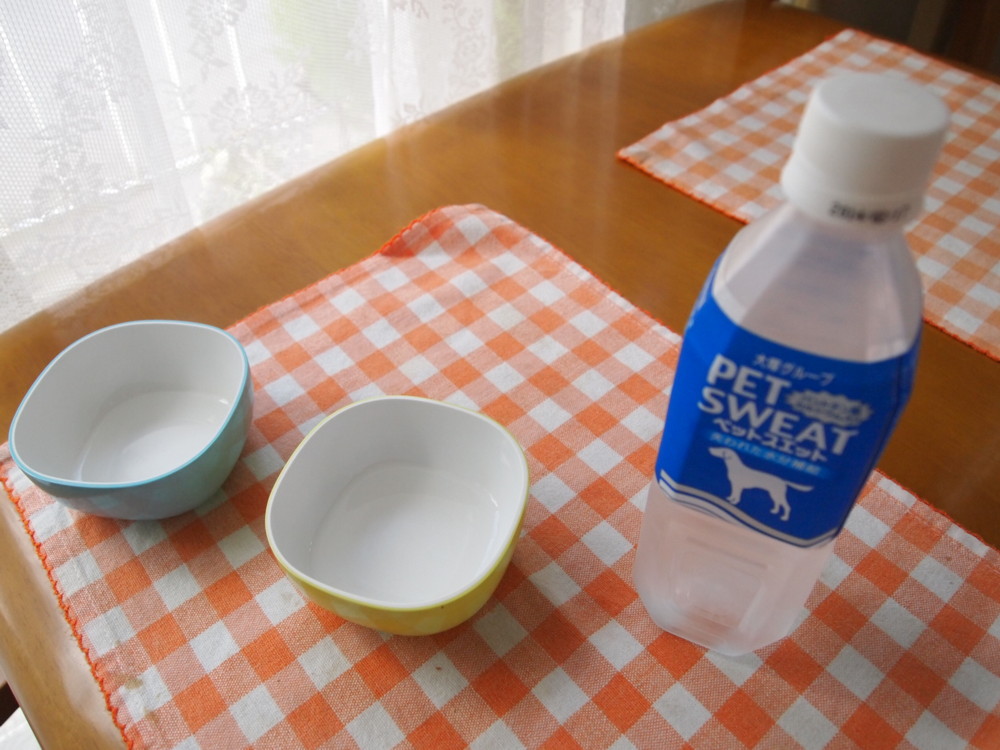 e0131506_1053532.jpg