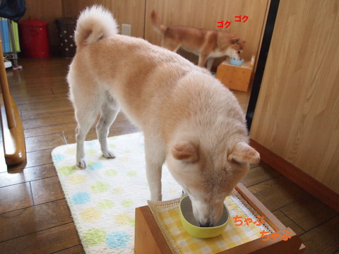 e0131506_1054464.jpg